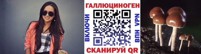 Купить  Лениногорск  Галлюциногенные грибы Psilocybine cubensis 